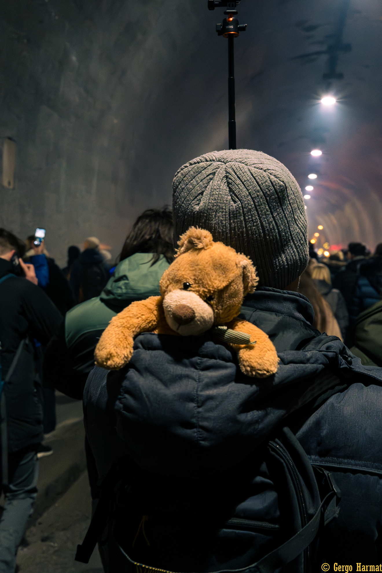 A teddy bear on someones back.